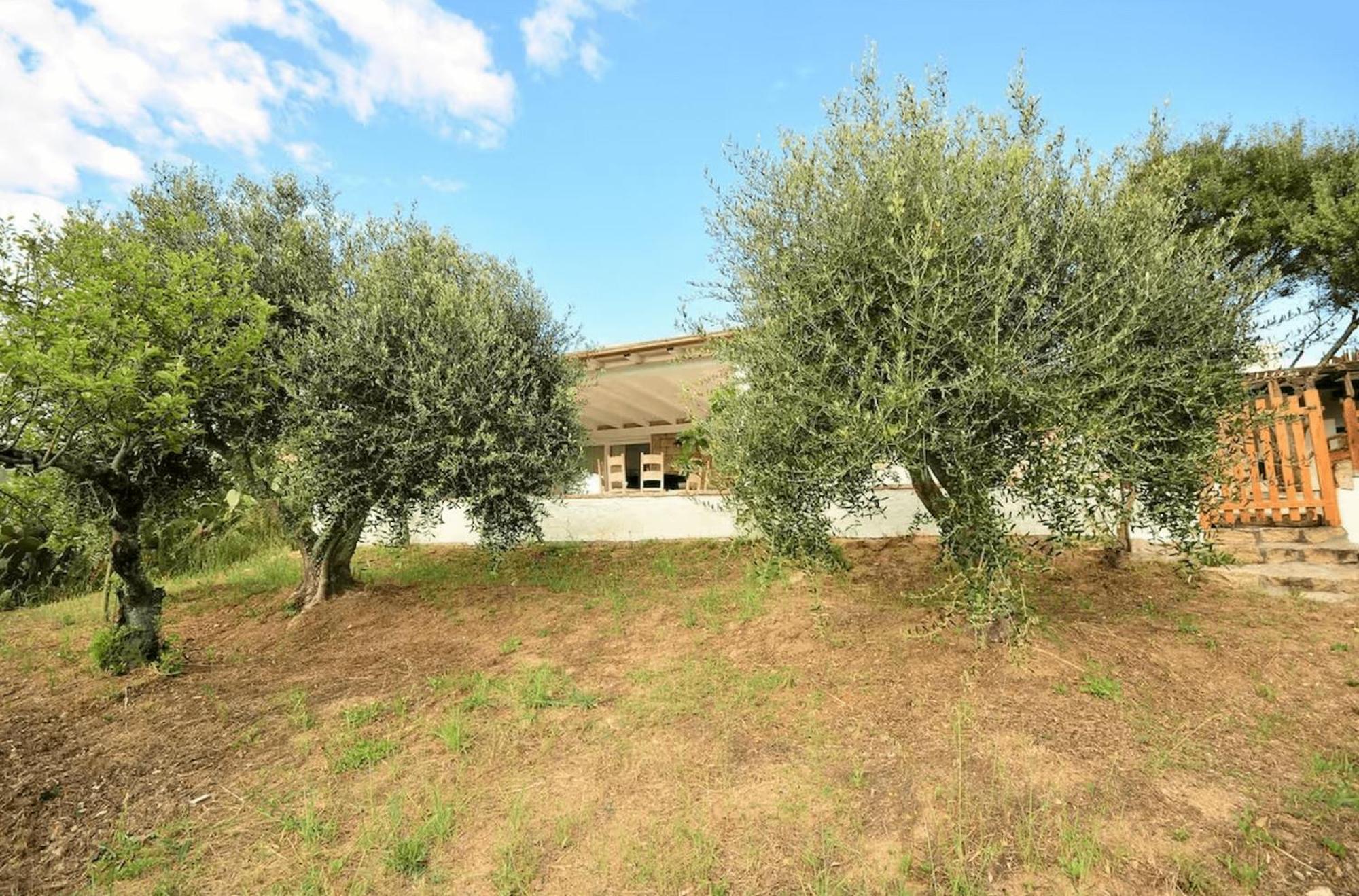 Locanda In Vigna Arzachena Exterior foto